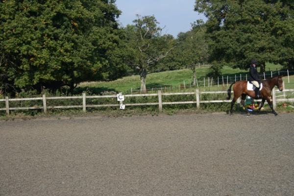 Trot