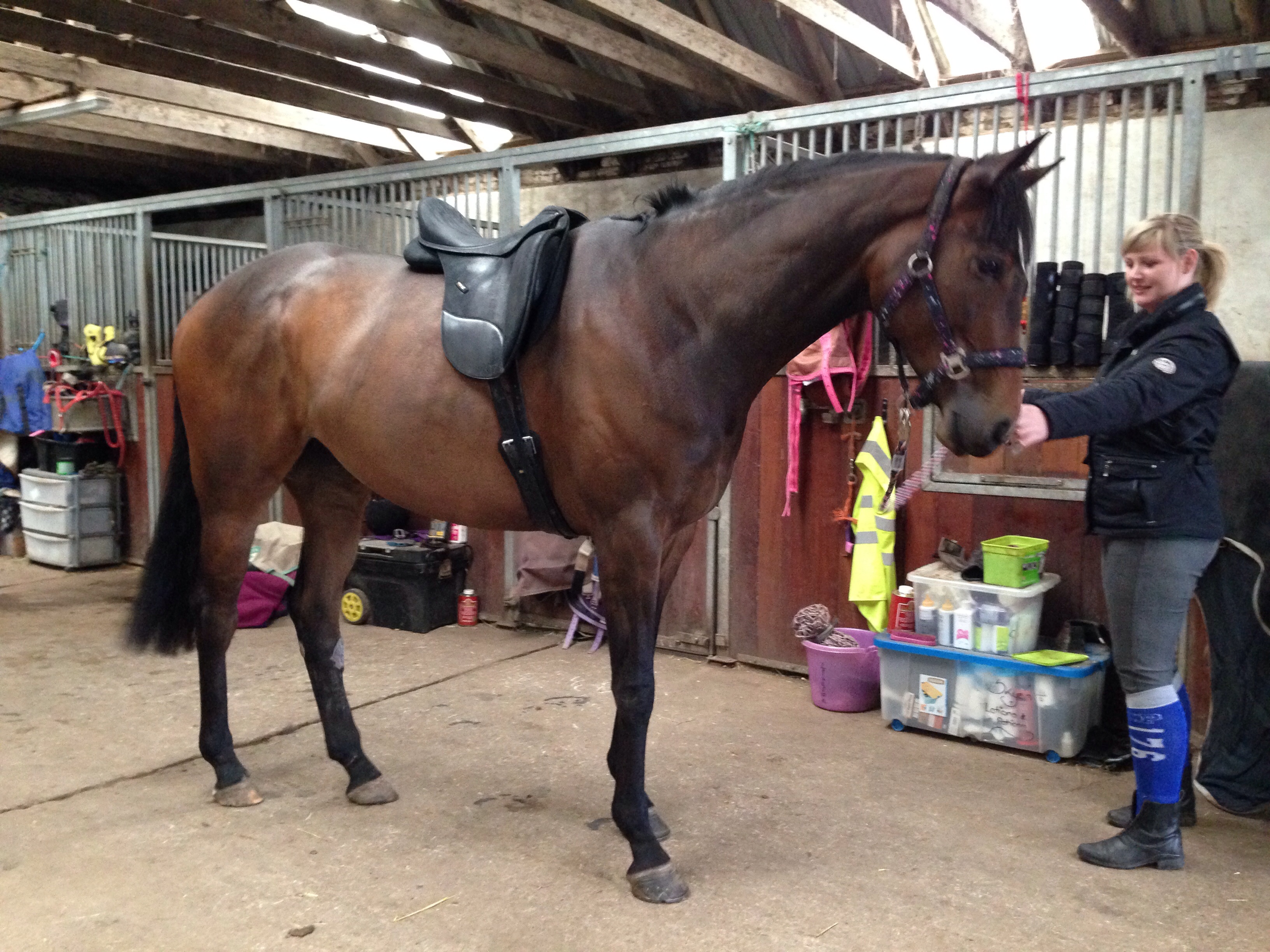 Trying on a dressage saddle