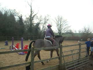 Trying to get a nice trot..