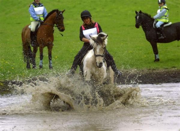 Two minutes later, still stuck in the water jump!  How high is her hoof??