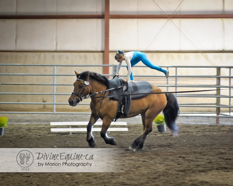 Vaulting