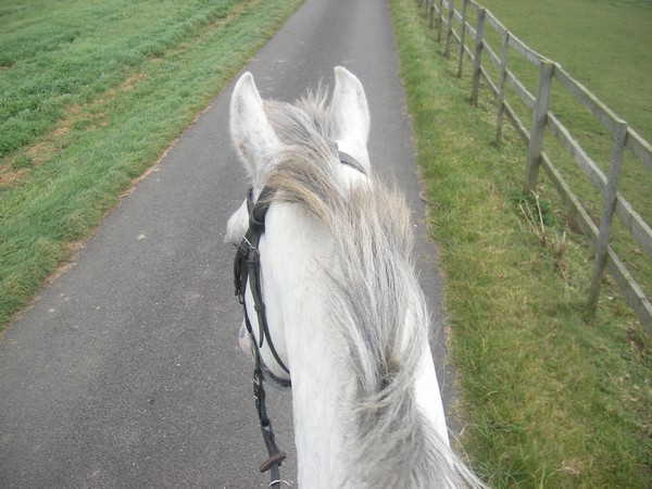 Wandering down the lane