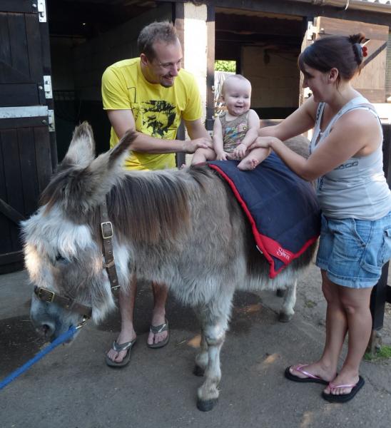 We had a welcome visitor to Thistledown yesterday, Charlia, 8 months old from Australia, my sisters grandaughter. What a happy little soul, she loved the animals, loved riding on Charlotte and she sings, laaa laa laaa, constantly, that's when she's not smiling. In australia they have singing sessions for parents and babies, a bit like mothers and toddlers groups here. What a happy little girl.