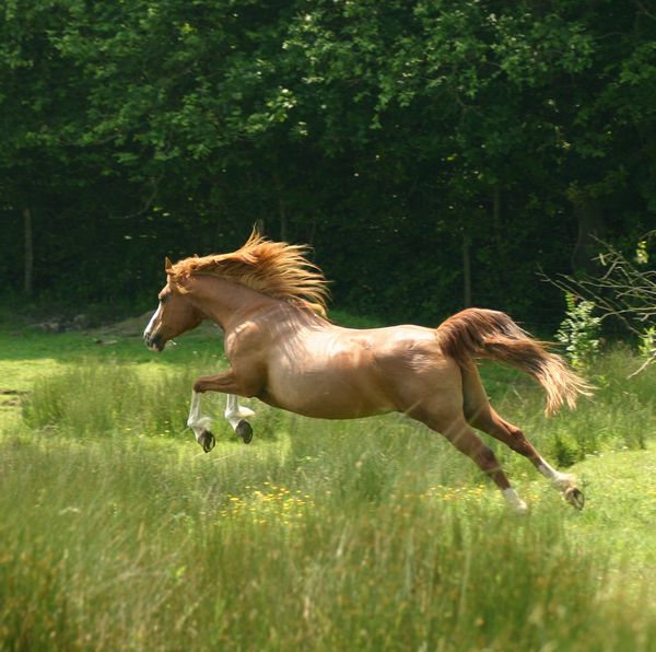 weeeeeeeeee