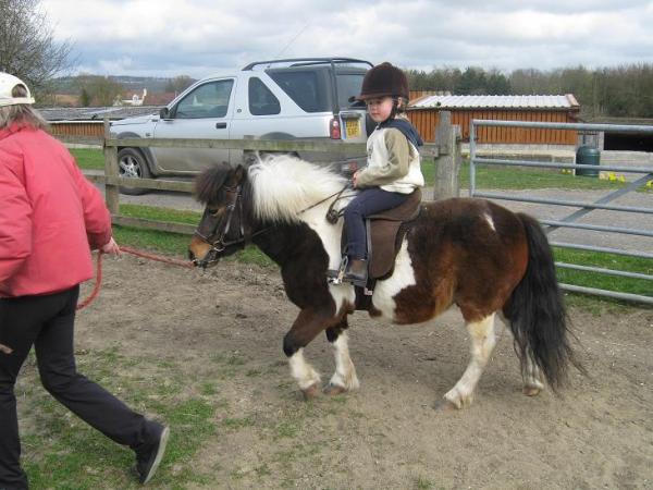 week 3 riding