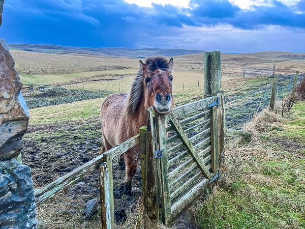 myshetland.co.uk