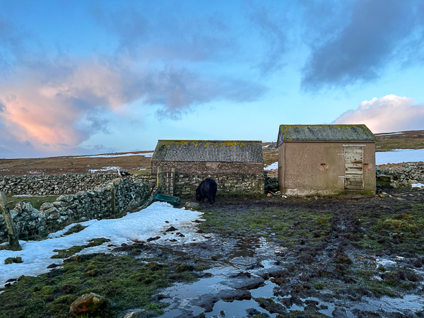 myshetland.co.uk