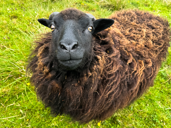 myshetland.co.uk