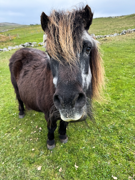 myshetland.co.uk