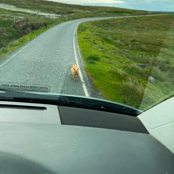 myshetland.co.uk