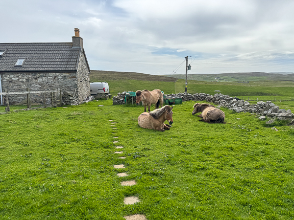 myshetland.co.uk