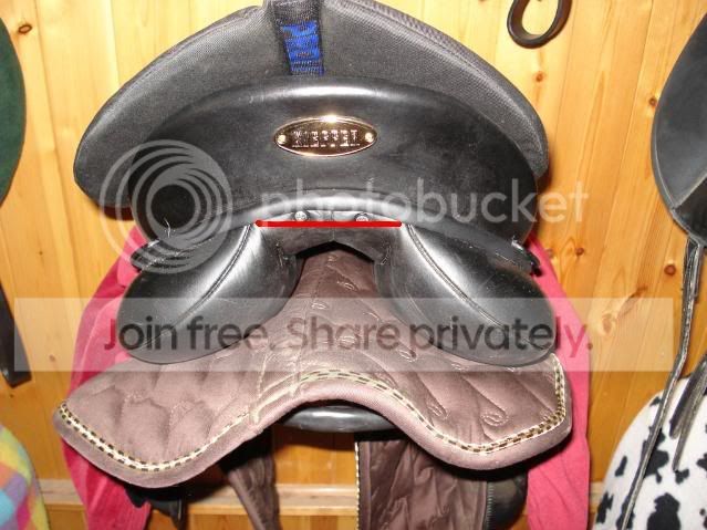 Saddle.jpg