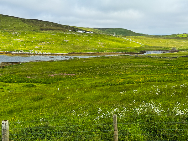 myshetland.co.uk