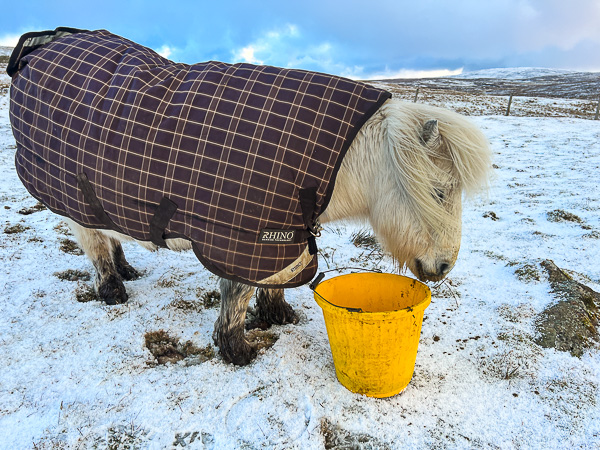 myshetland.co.uk