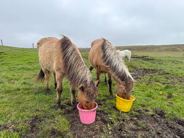 myshetland.co.uk